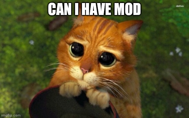 please | CAN I HAVE MOD | image tagged in please | made w/ Imgflip meme maker