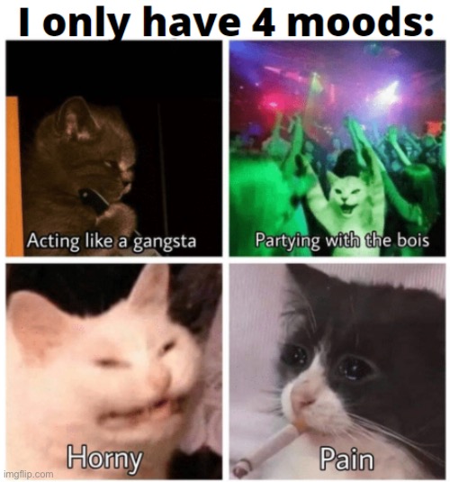 i’m usually the second one xD | made w/ Imgflip meme maker