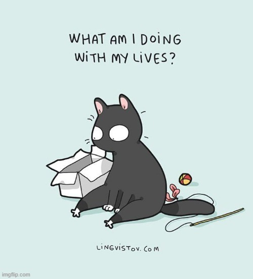 A Cat's Way Of Thinking | image tagged in memes,comics,cats,contemplating,what am i doing with my life,lives | made w/ Imgflip meme maker