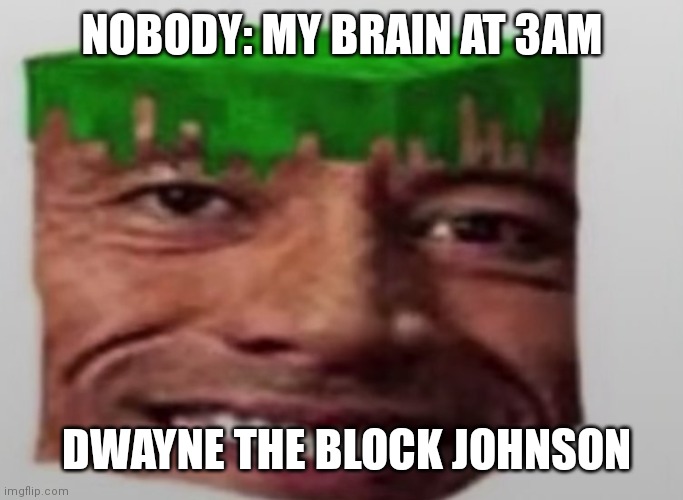 Da block | NOBODY: MY BRAIN AT 3AM; DWAYNE THE BLOCK JOHNSON | image tagged in the rock | made w/ Imgflip meme maker