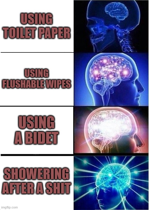 Expanding Brain Meme Imgflip