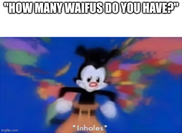 *inhales* | "HOW MANY WAIFUS DO YOU HAVE?" | image tagged in yakko inhale,anime,waifus,waifu | made w/ Imgflip meme maker