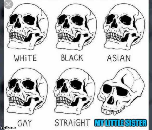White Black Asian Gay Straight skull template | MY LITTLE SISTER | image tagged in white black asian gay straight skull template,oh wow are you actually reading these tags,younger siblings,relatable memes | made w/ Imgflip meme maker