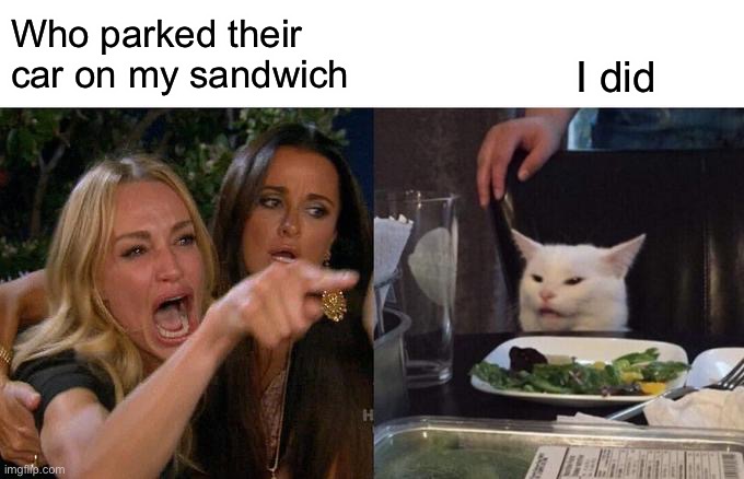Woman Yelling At Cat | Who parked their car on my sandwich; I did | image tagged in memes,woman yelling at cat | made w/ Imgflip meme maker