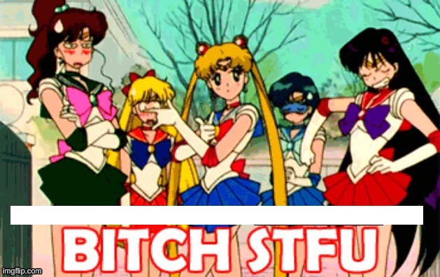 Sailor Moon Bitch stfu | image tagged in sailor moon bitch stfu | made w/ Imgflip meme maker