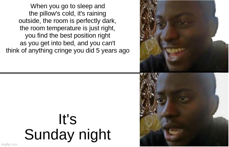 Screw school I'm sleeping in ffs | When you go to sleep and the pillow's cold, it's raining outside, the room is perfectly dark, the room temperature is just right, you find the best position right as you get into bed, and you can't think of anything cringe you did 5 years ago; It's Sunday night | image tagged in disappointed black guy,funny | made w/ Imgflip meme maker