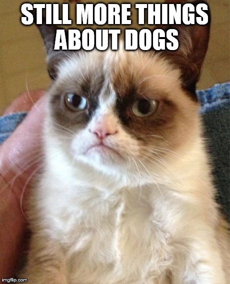 Grumpy Cat Meme | STILL MORE THINGS ABOUT DOGS | image tagged in memes,grumpy cat | made w/ Imgflip meme maker