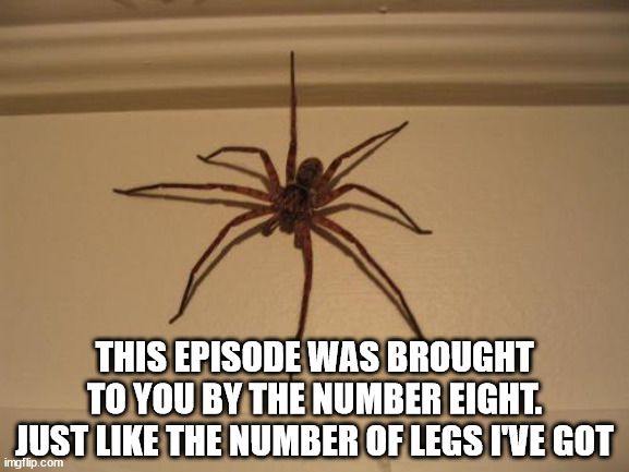 Scumbag Spider | THIS EPISODE WAS BROUGHT TO YOU BY THE NUMBER EIGHT.
JUST LIKE THE NUMBER OF LEGS I'VE GOT | image tagged in scumbag spider | made w/ Imgflip meme maker