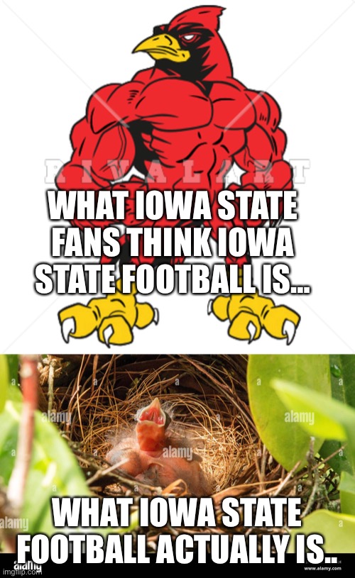 Iowa State Cyclones | WHAT IOWA STATE FANS THINK IOWA STATE FOOTBALL IS…; WHAT IOWA STATE FOOTBALL ACTUALLY IS.. | image tagged in funny memes | made w/ Imgflip meme maker