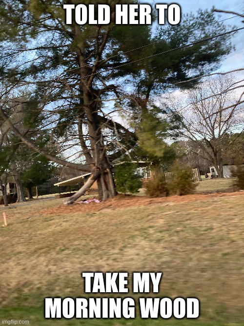 TOLD HER TO; TAKE MY MORNING WOOD | image tagged in morning wood | made w/ Imgflip meme maker
