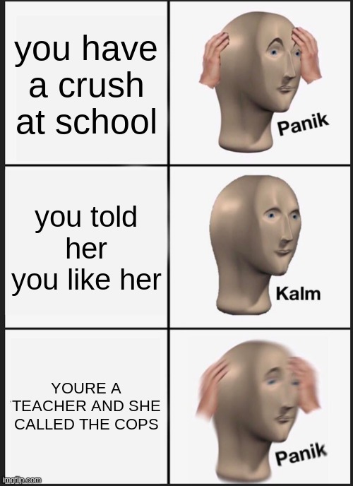 pedo alert | you have a crush at school; you told her you like her; YOURE A TEACHER AND SHE CALLED THE COPS | image tagged in memes,panik kalm panik,pedophile,crush,school | made w/ Imgflip meme maker