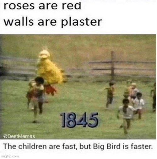 BIG BIRD IS FASTER | image tagged in blank white template | made w/ Imgflip meme maker