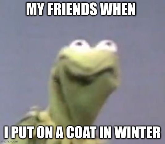 MY FRIENDS WHEN; I PUT ON A COAT IN WINTER | image tagged in kermit the frog,relatable,cringe | made w/ Imgflip meme maker