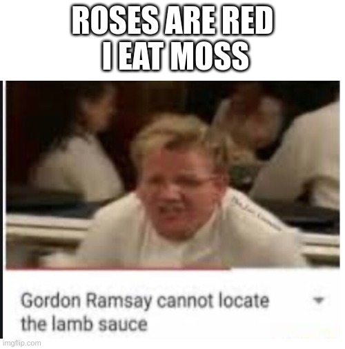 OH NOOOOOOO | ROSES ARE RED
 I EAT MOSS | image tagged in blank white template | made w/ Imgflip meme maker