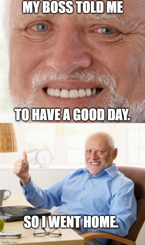 SOUNDS LIKE A GOOD DAY TO ME |  MY BOSS TOLD ME; TO HAVE A GOOD DAY. SO I WENT HOME. | image tagged in hide the pain harold,harold,work | made w/ Imgflip meme maker