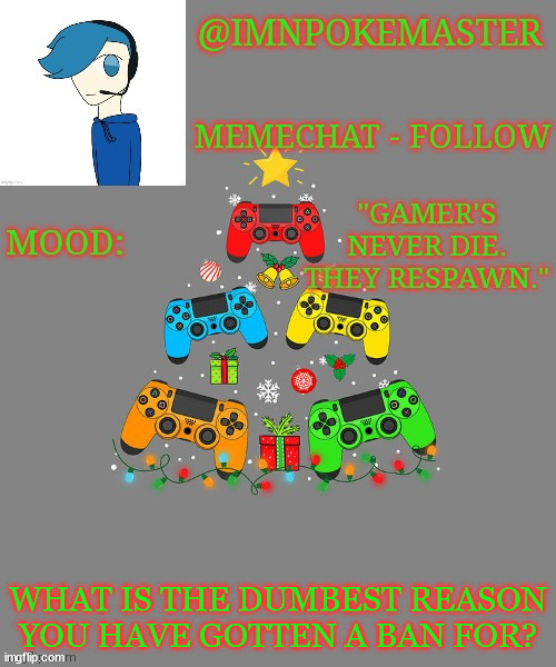 Poke's christmas template | WHAT IS THE DUMBEST REASON YOU HAVE GOTTEN A BAN FOR? | image tagged in poke's christmas template | made w/ Imgflip meme maker