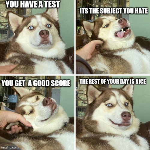 Yes | YOU HAVE A TEST; ITS THE SUBJECT YOU HATE; YOU GET  A GOOD SCORE; THE REST OF YOUR DAY IS NICE | image tagged in confused doggo | made w/ Imgflip meme maker