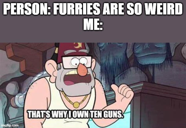 Maybe more guns in the future | PERSON: FURRIES ARE SO WEIRD
ME: | image tagged in 10 guns | made w/ Imgflip meme maker