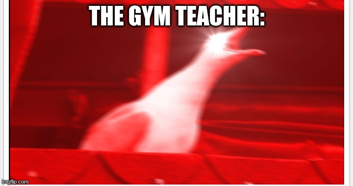 Screaming bird | THE GYM TEACHER: | image tagged in screaming bird | made w/ Imgflip meme maker