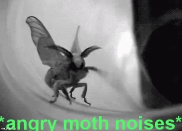 Angry Moth Noises | image tagged in angry moth noises | made w/ Imgflip meme maker