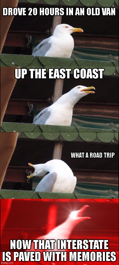W H A T A  R O D A T R I P | DROVE 20 HOURS IN AN OLD VAN; UP THE EAST COAST; WHAT A ROAD TRIP; NOW THAT INTERSTATE IS PAVED WITH MEMORIES | image tagged in memes,inhaling seagull | made w/ Imgflip meme maker