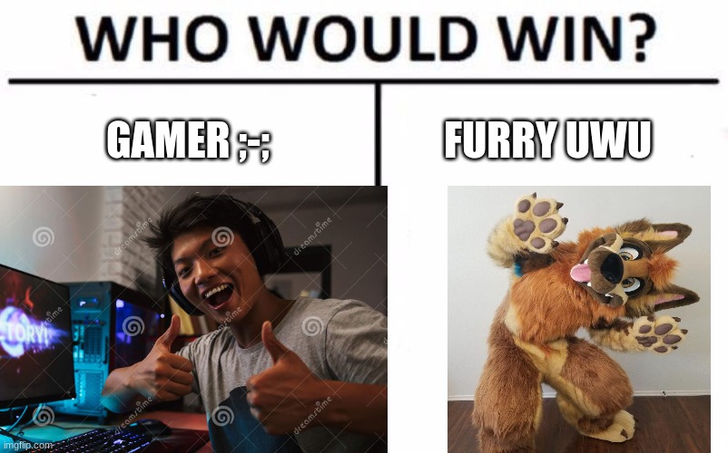 WHO WILL WIN???? tell me in  comments!! | GAMER ;-;; FURRY UWU | image tagged in furry | made w/ Imgflip meme maker