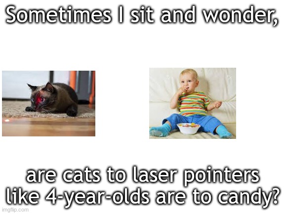 Blank White Template | Sometimes I sit and wonder, are cats to laser pointers
like 4-year-olds are to candy? | image tagged in blank white template,cats,lasers | made w/ Imgflip meme maker