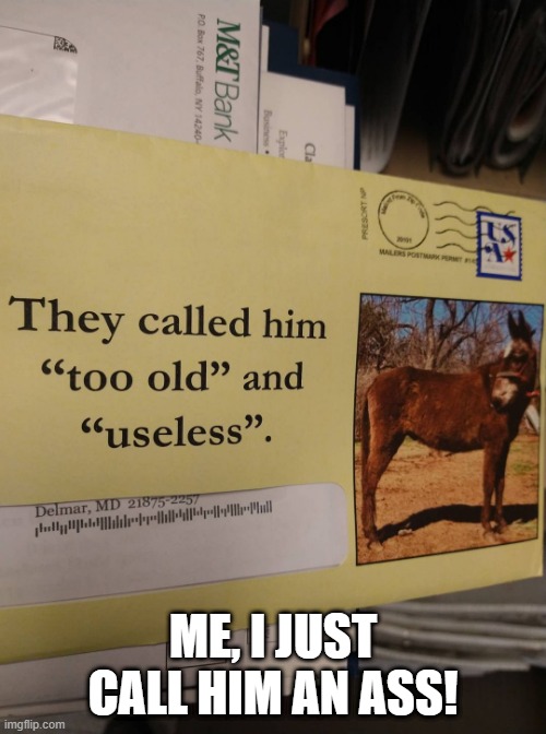 Name that Animal | ME, I JUST CALL HIM AN ASS! | image tagged in funny animals,mail | made w/ Imgflip meme maker