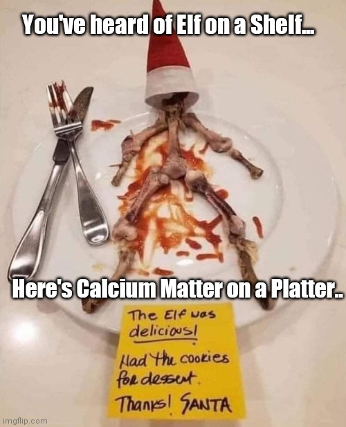 Santa's Snack Skel | You've heard of Elf on a Shelf... Here's Calcium Matter on a Platter.. | image tagged in funny | made w/ Imgflip meme maker