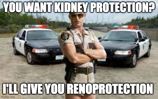 Kidney protection | YOU WANT KIDNEY PROTECTION? I'LL GIVE YOU RENOPROTECTION | image tagged in reno 911,medical,humor,kidney,pun | made w/ Imgflip meme maker
