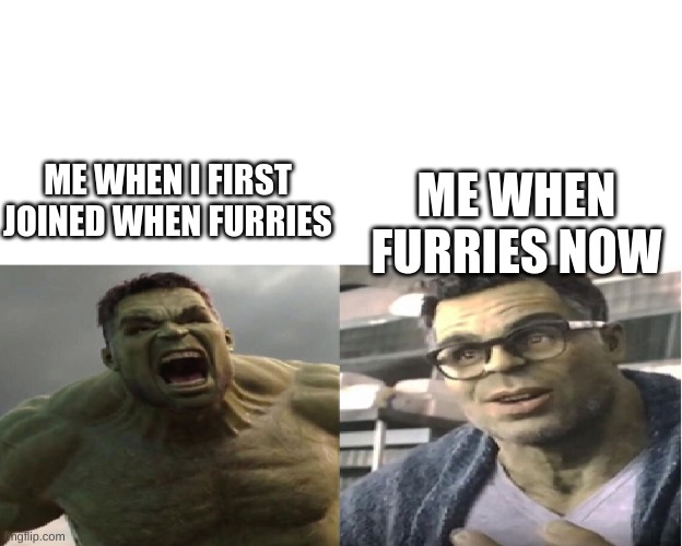 idk im bored respect other people blah blah blah | ME WHEN FURRIES NOW; ME WHEN I FIRST JOINED WHEN FURRIES | made w/ Imgflip meme maker