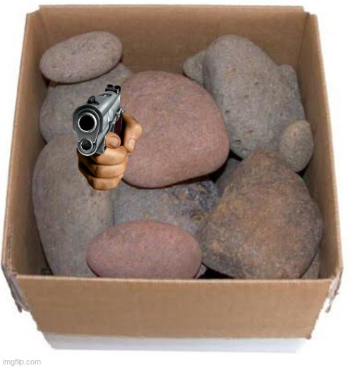 Box of rocks | image tagged in box of rocks | made w/ Imgflip meme maker