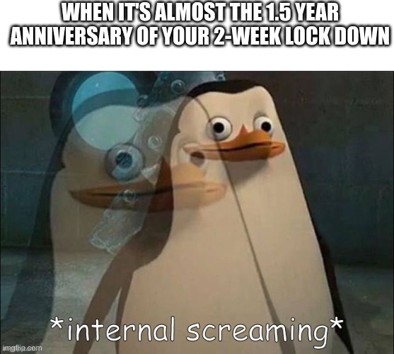 Private Internal Screaming | WHEN IT'S ALMOST THE 1.5 YEAR ANNIVERSARY OF YOUR 2-WEEK LOCK DOWN | image tagged in private internal screaming | made w/ Imgflip meme maker