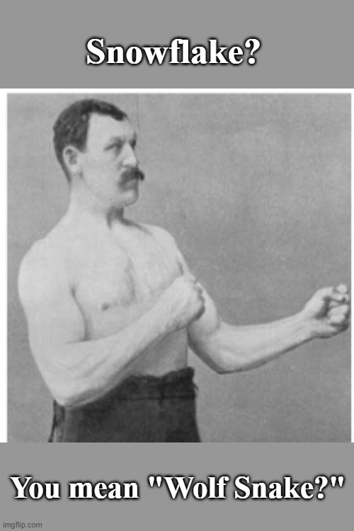 More of the anagram game... | Snowflake? You mean "Wolf Snake?" | image tagged in memes,overly manly man,anagram,snowflake,omicron,maga | made w/ Imgflip meme maker