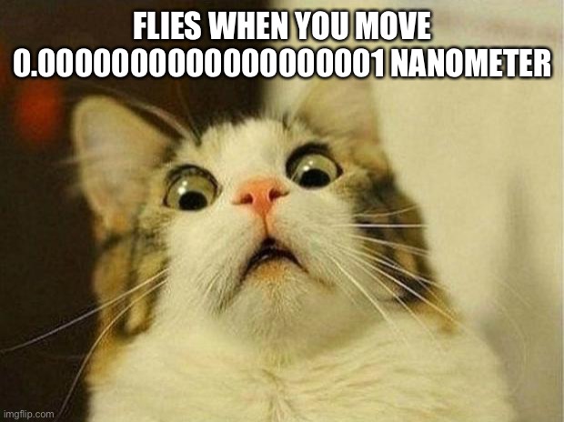 Scared Cat Meme | FLIES WHEN YOU MOVE 0.0000000000000000001 NANOMETER | image tagged in memes,scared cat | made w/ Imgflip meme maker