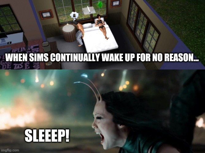 Why, Sims? Why? | WHEN SIMS CONTINUALLY WAKE UP FOR NO REASON... SLEEEP! | image tagged in the sims,humor,frustration | made w/ Imgflip meme maker