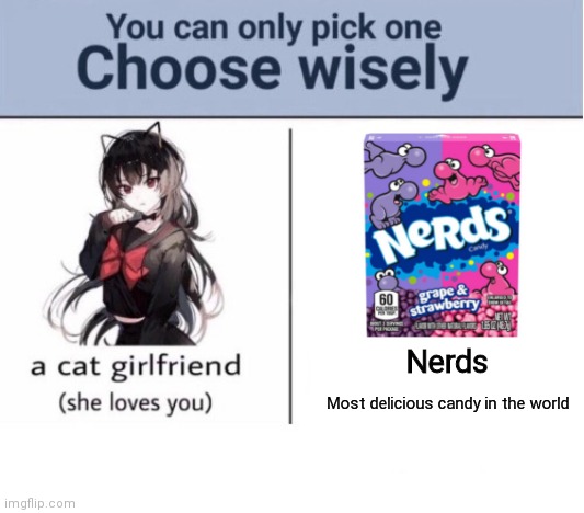 Nerds better than a cat |  Nerds; Most delicious candy in the world | image tagged in choose wisely,chad,candy,nerds,funny,memes | made w/ Imgflip meme maker