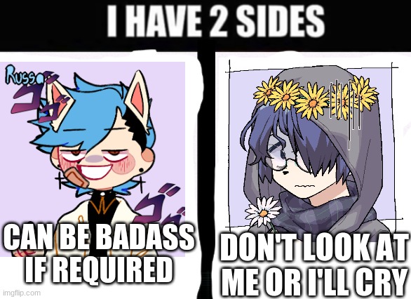 i have 2 sides | CAN BE BADASS IF REQUIRED; DON'T LOOK AT ME OR I'LL CRY | image tagged in i have 2 sides | made w/ Imgflip meme maker