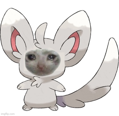 Crying Minccino | image tagged in crying minccino | made w/ Imgflip meme maker