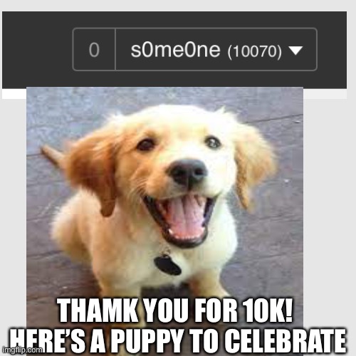 Thamk u ? | THAMK YOU FOR 10K! 
HERE’S A PUPPY TO CELEBRATE | image tagged in 10k,celebration | made w/ Imgflip meme maker