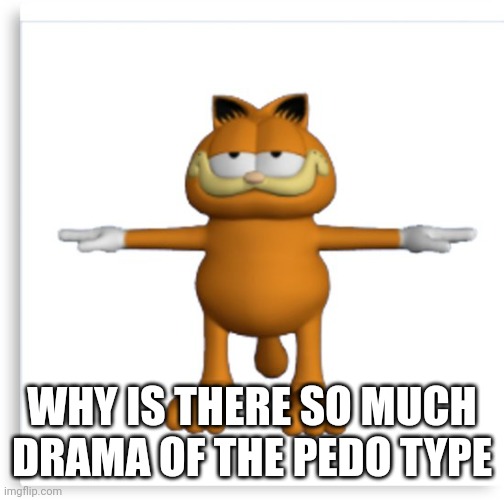 Everyone is straight up accusing everyone else of pedophilia at this point | WHY IS THERE SO MUCH DRAMA OF THE PEDO TYPE | image tagged in garfield tpose | made w/ Imgflip meme maker