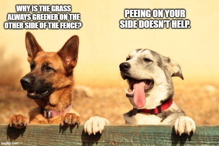Don't Pee where you live. | image tagged in funny dogs,wisdom,common sense,real life | made w/ Imgflip meme maker