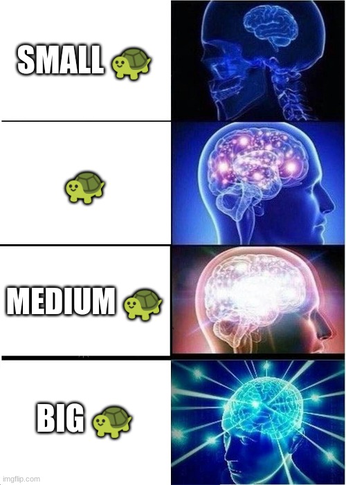 Expanding Brain Meme | SMALL 🐢; 🐢; MEDIUM 🐢; BIG 🐢 | image tagged in memes,expanding brain | made w/ Imgflip meme maker