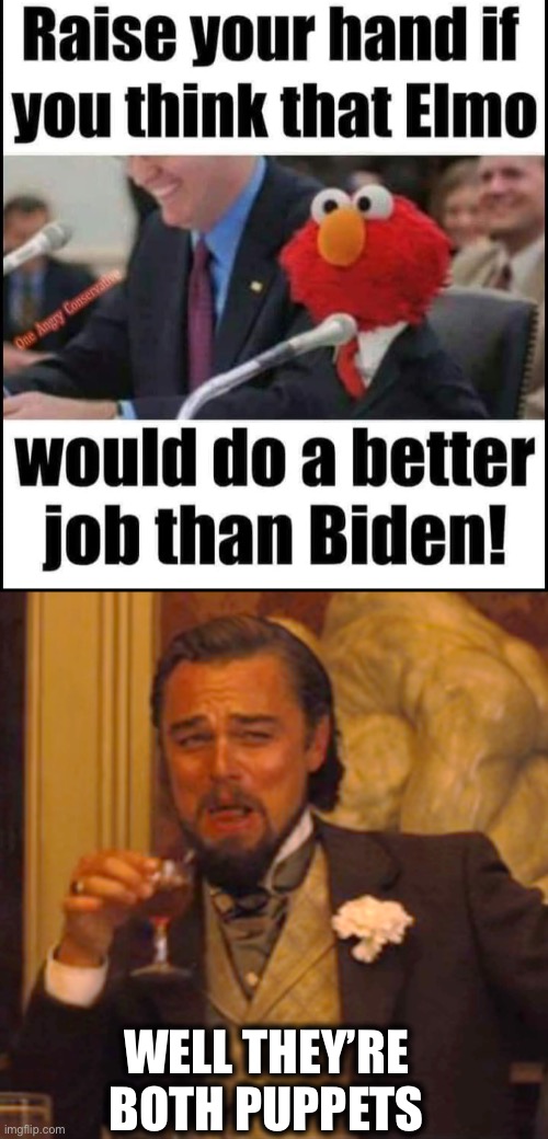 Biden | WELL THEY’RE BOTH PUPPETS | image tagged in memes,joe biden,elmo,puppets,president | made w/ Imgflip meme maker