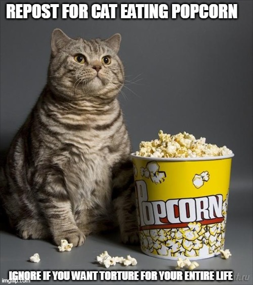 no h a t e  or smth | REPOST FOR CAT EATING POPCORN; IGNORE IF YOU WANT TORTURE FOR YOUR ENTIRE LIFE | image tagged in cat eating popcorn | made w/ Imgflip meme maker
