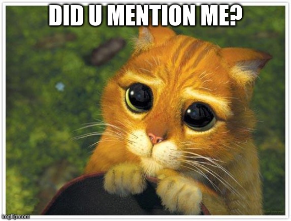 Shrek Cat Meme | DID U MENTION ME? | image tagged in memes,shrek cat | made w/ Imgflip meme maker