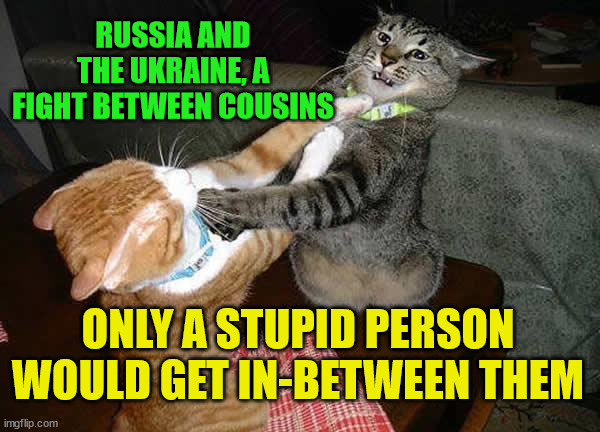 Two cats fighting for real | RUSSIA AND THE UKRAINE, A FIGHT BETWEEN COUSINS; ONLY A STUPID PERSON WOULD GET IN-BETWEEN THEM | image tagged in two cats fighting for real | made w/ Imgflip meme maker