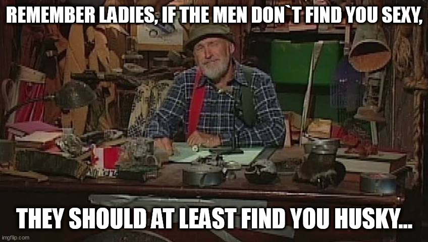 REMEMBER LADIES, IF THE MEN DON`T FIND YOU SEXY, THEY SHOULD AT LEAST FIND YOU HUSKY... | image tagged in funny | made w/ Imgflip meme maker