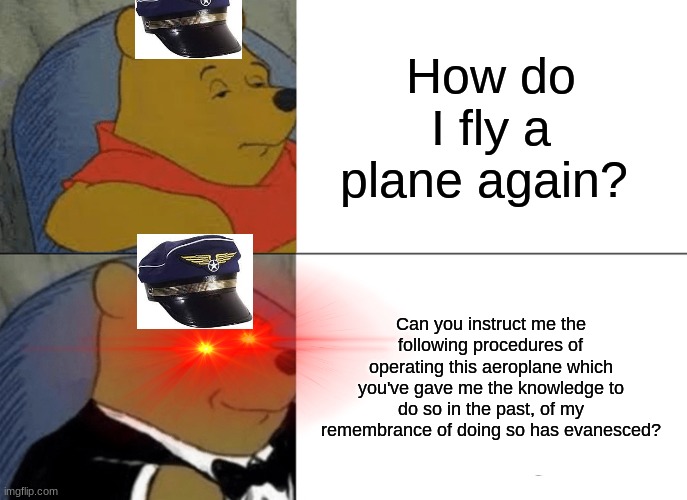 how do i fly a plane again? | How do I fly a plane again? Can you instruct me the following procedures of operating this aeroplane which you've gave me the knowledge to do so in the past, of my remembrance of doing so has evanesced? | image tagged in memes,tuxedo winnie the pooh | made w/ Imgflip meme maker