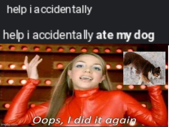 Oops, I did it again | image tagged in help i accidentally,eating,doggo,why is the fbi here,help me | made w/ Imgflip meme maker